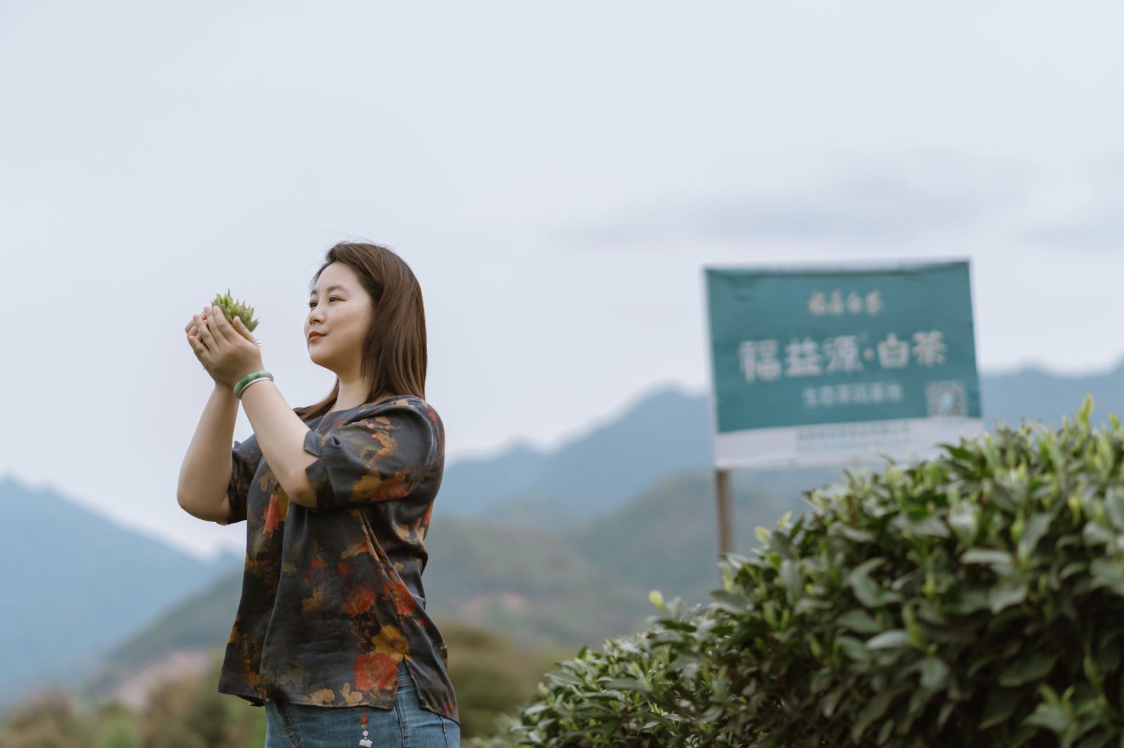 福益源▪太姥星